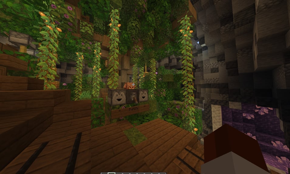 Show image 2