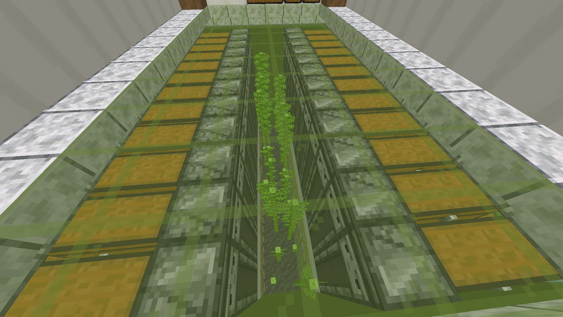 STARBUCKS Bamboo 24 Module V1, image 2