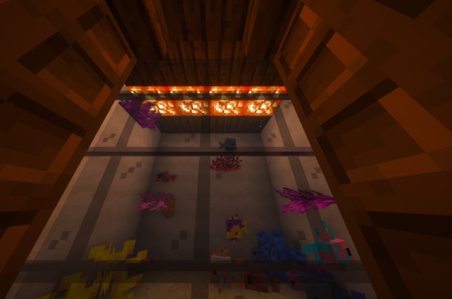 D9d6 Christmas gambling base, image 4
