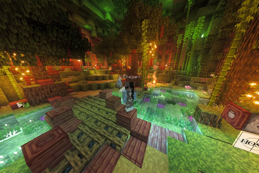 Show image 4