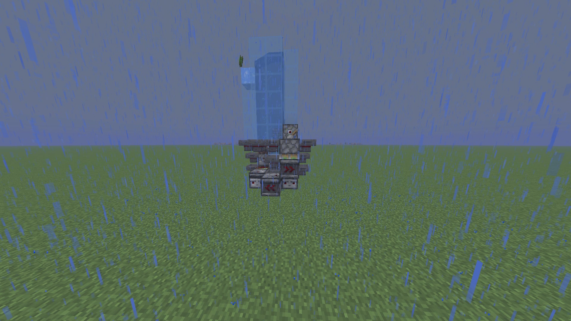 V1 kelp farm cricket, image 1